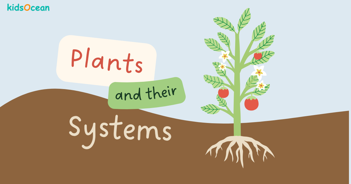 How plants grow.